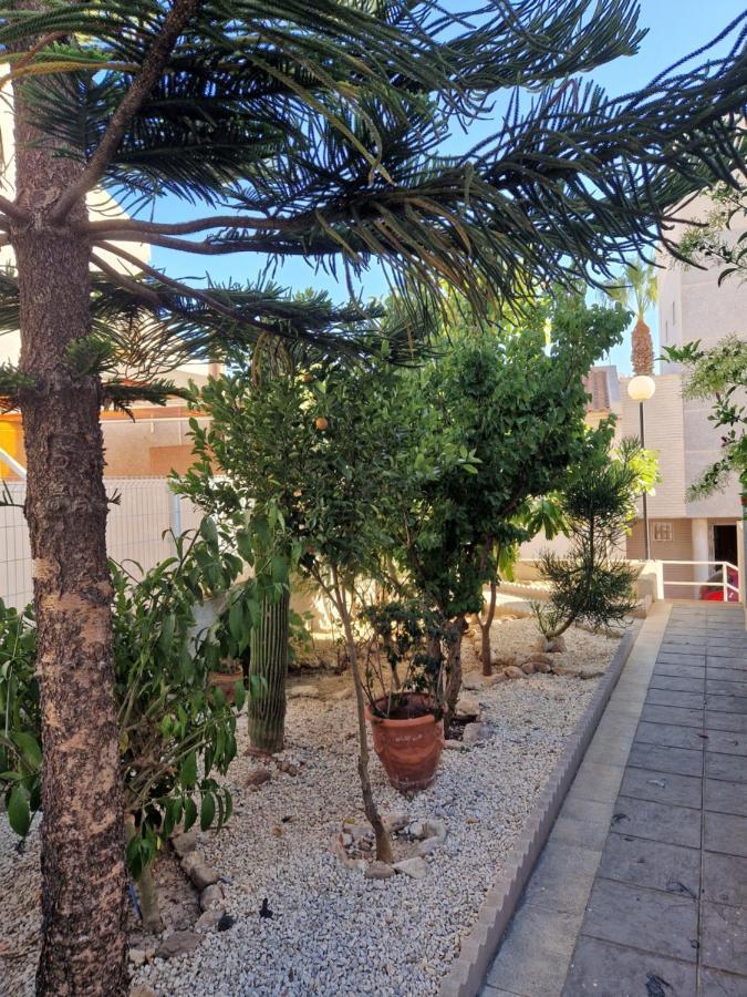 Magnifico Chalet Adosado En Torrevieja, Alicante. Kültér fotó